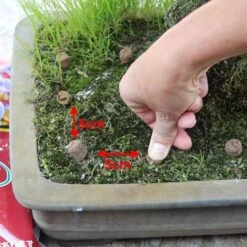 Hanagokoro Bonsai Dünger 3.0kg -Pflanzenladen d2han30003