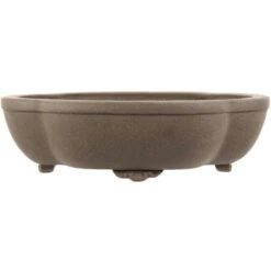 Bonsaischale 30.5x25.5x8.5cm Grau Sonstige Form Unglasiert