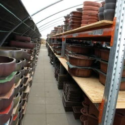 Bonsaischale 45.5x36.5x12cm Antik-Braun Oval Unglasiert 15 Bonsaischale 45.5x36.5x12cm Antik-Braun Oval Unglasiert -Pflanzenladen h46 452 ab7