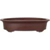 Bonsaischale 60x43.5x13.5cm Braun Oval Unglasiert -Pflanzenladen h60 446 b
