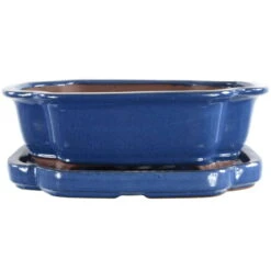 Bonsaischale Mit Untersetzer 25x20x8cm Blau Sonstige Form Glasiert