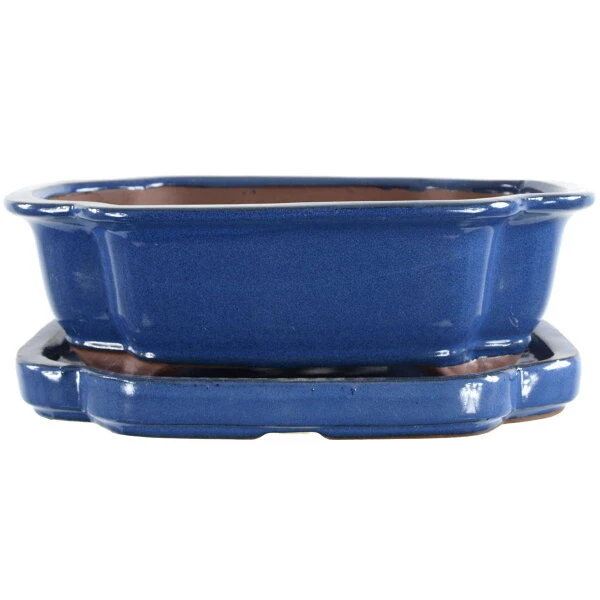 Bonsaischale Mit Untersetzer 25x20x8cm Blau Sonstige Form Glasiert 3 Bonsaischale Mit Untersetzer 25x20x8cm Blau Sonstige Form Glasiert
