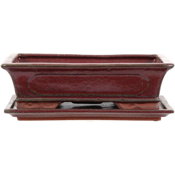 Bonsaischale Mit Untersetzer 28x18x8cm Rot Rechteckig Glasiert 3 Bonsaischale Mit Untersetzer 28x18x8cm Rot Rechteckig Glasiert