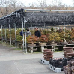 Pflanzenladen -Pflanzenladen orhoind161 142