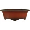 Bonsaischale 16x12x5.5cm Antik-Rotbraun Oval Unglasiert -Pflanzenladen s16 315 ar