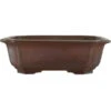 Bonsaischale 21.5x21.5x6.5cm Dunkelbraun Sonstige Form Unglasiert -Pflanzenladen s22 839 db