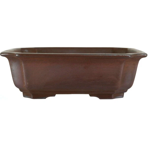 Bonsaischale 21.5x21.5x6.5cm Dunkelbraun Sonstige Form Unglasiert 3 Bonsaischale 21.5x21.5x6.5cm Dunkelbraun Sonstige Form Unglasiert