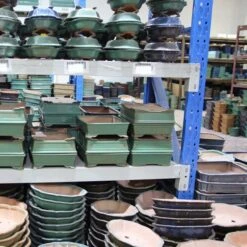 Bonsaischale 30x30x10.5cm Dunkelbraun Rund Unglasiert -Pflanzenladen s30 613 db7