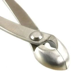 Runde Konkavzange 20.5cm Top Edelstahl -Pflanzenladen wz rk bq3 e5