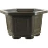 Bonsaischale 27.8x27.8x17.3cm Dunkelbraun Sechseckig Kunststoff -Pflanzenladen z ps h28 db