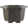 Bonsaischale 33.6x33.6x20.3cm Dunkelbraun Sechseckig Kunststoff -Pflanzenladen z ps h34 db