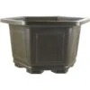 Bonsaischale 41.5x41.3x25cm Dunkelbraun Sechseckig Kunststoff -Pflanzenladen z ps h42 db